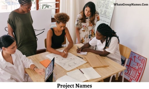 Project Names