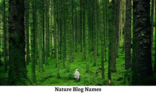 Nature Blog Names