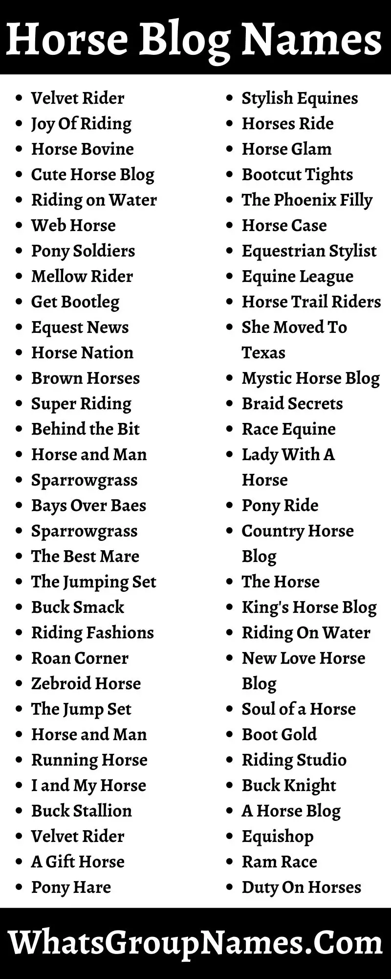 Horse Blog Names