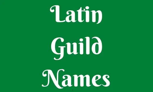 Latin Guild Names