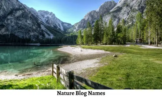 Nature Blog Names