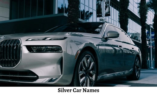 Silver Car Names