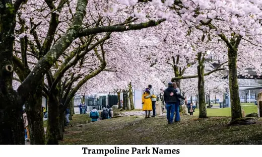 Trampoline Park Names