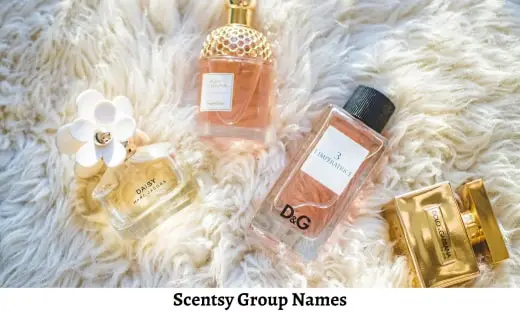 Scentsy Group Names